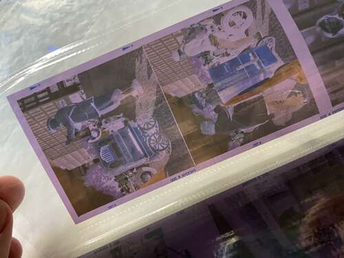 Purple film base